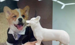 Successfully 3D Print Designer Dogs